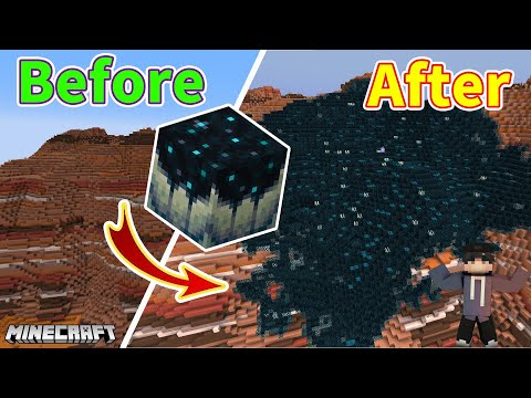 【Minecraft】只靠一個方塊感染整片山!!整座山都變成陰森的世界!【Timmy小樹】|全字幕|