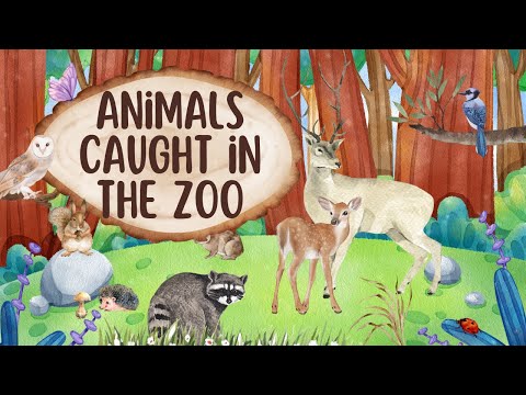 ZOO ANIMALS