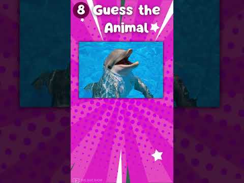 Guess 50 Animals in Just 3 Seconds – Can You Do It?|The Quiz Show