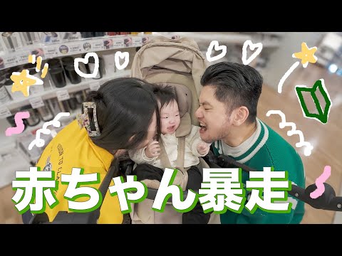 日本旅行で赤ちゃん暴走👶