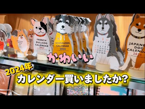 かわいいワンちゃんのミニカレンダー発見しました♬【チワワ多頭飼い】