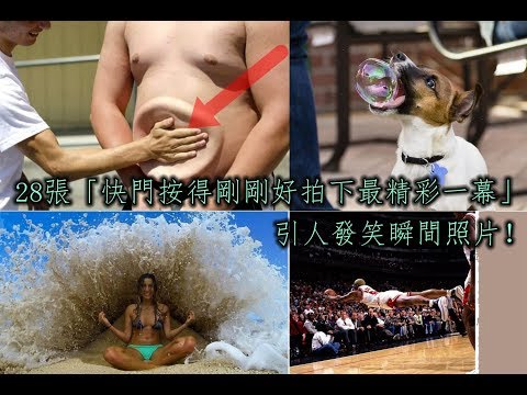 28張「快門按得剛剛好拍下最精彩一幕」的引人發笑瞬間照片！