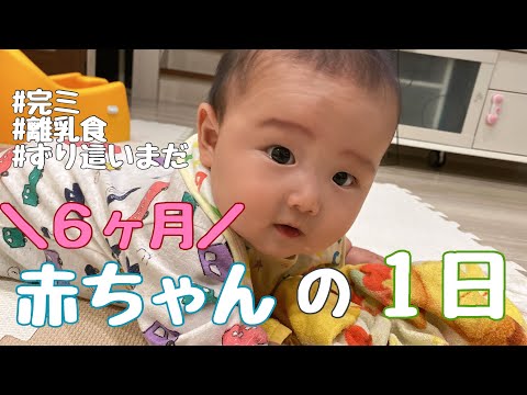 生後６ヶ月赤ちゃんの１日の様子！【完ミ】【離乳食】