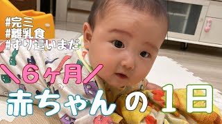 生後６ヶ月赤ちゃんの１日の様子！【完ミ】【離乳食】