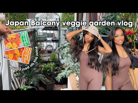 MY BALCONY VEGGIE GARDEN IN JAPAN  VLOG