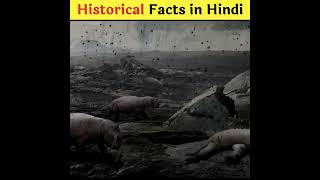 Historical Facts in Hindi👍|Interesting Facts #shorts