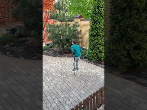 Boy Jumping on Pogo Stick #pogostick #jumping #dogs #shorts Video by Anna Bondarenko from Pexels