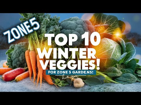 Top 10 Winter Vegetables to Grow in Zone 5 for a Thriving Garden