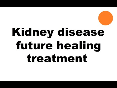 Upcoming regenerative treatment for kidney disease CKD