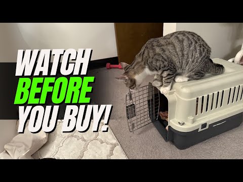 WATCH This FIRST! - SportPet Designs Kennel REVIEW