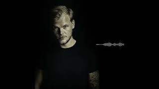 Avicii Without You Orchestral EXTENDED best part from documentary ending (I AM TIM tribute)