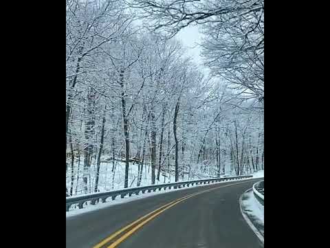 Morning Drive - Winter