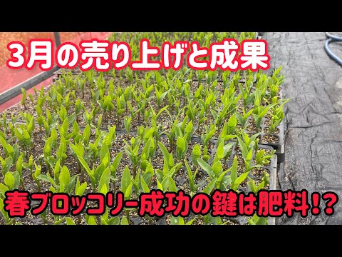 とうもろこし植え付けはじまりそうです。肥料や資材はオーソドックスで春に合わせて量などを調節すると良いかも！