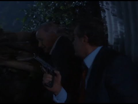 "Everybody in this country has a gun" scene from My Fellow Americans (1996)