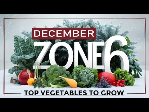 Top Vegetables to Grow in December for Zone 6: Winter Gardening Success