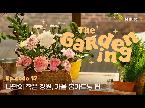 NH식물원 - THE GardeningㅣEP.17 나만의 작은 정원, 가을 홈가드닝 팁🪴