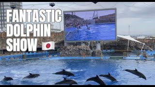 Amazing Dolphin Performance in Port of Nagoya Public Aquarium Japan #amazingjapan #nagoyaaquarium