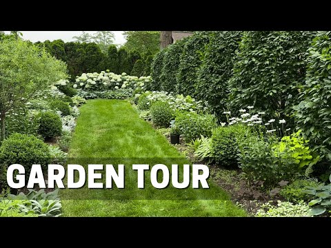 Early July Garden Tour - Native Plants 👩‍🌾🌿 Island Border Updates