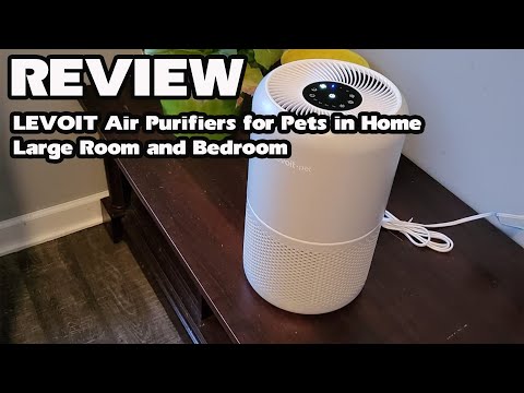 LEVOIT Core P350 Air Purifier in Home-DANIEL