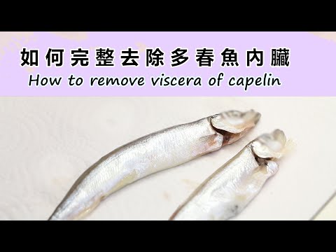 【NEW】超簡易｜如何完整去除多春魚內臟 How to Easy Remove/Clean Viscera of Capelinシシャモを完全に内臓抜きする方法시샤모를 완전히 내장 제거하는 방법