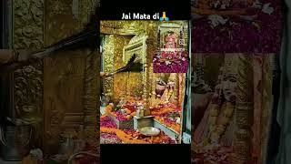 Jai Mata di🙏 #matarani #maamansadevi #mataranimaisa #jaimaamansadevi #jaimatadi #navratrispecial