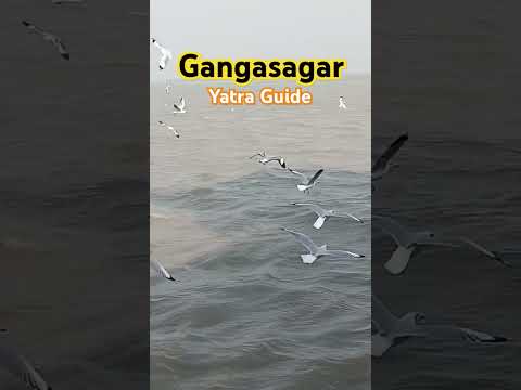 गंगासागर यात्रा गाइड #gangasagaryatra #gangasagartourguide #gangasagar #travel #kolkata #viralshorts