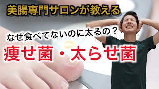 ダイエットに関わる痩せ菌・太らせ菌とは？