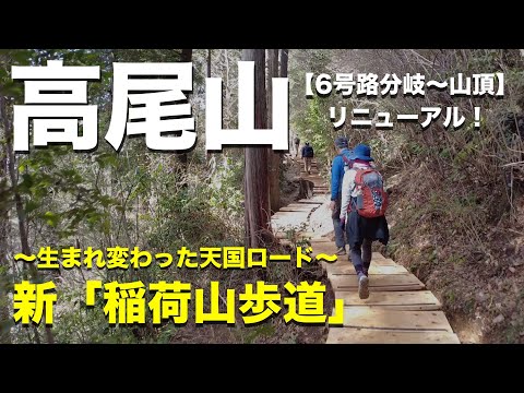 【高尾山】「稲荷山歩道」のリニューアル！山頂へと続く新たな「天国への階段」を紹介します！（関東百名山）