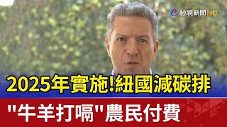 2025年實施！紐國減碳排  "牛羊打嗝"農民付費