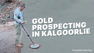 Gold Prospecting in New Kalgoorlie Site Using the Minelab GPZ 7000 Detector