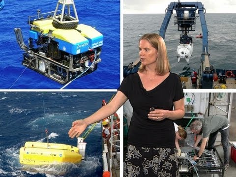 Julie Huber (MBL): Microbial Oceanography