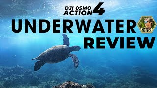 DJI Osmo Action 4 Underwater Review | BEST SETTINGS & TIPS