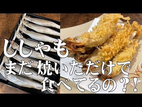 料理人が教える！シシャモは焼くだけじゃもったいない！ししゃもを美味しく食べる３つの料理レシピ教えます！ししゃもの価値観　爆上がりです！