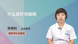 什么是肝性脑病 李晓利 西安市红会医院