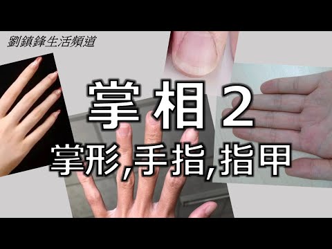 掌相 2 手指與掌形 (開啟字幕)｜指甲看健康｜劉鎮鋒生活頻道