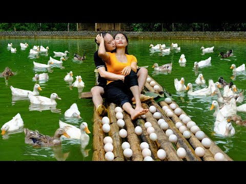 kind wife: Help Duong harvest duck's egg and bring them to the market to sell