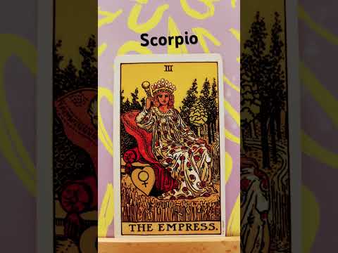 Scorpio / You have defended your boundaries #tarot #scorpio