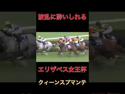 波乱に酔いしれるクィーンスプマンテ【エリザベス女王杯】#競馬