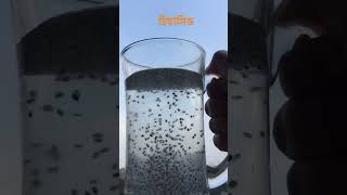 #Chiya seed #shorts #video #drink #drinkhealthy