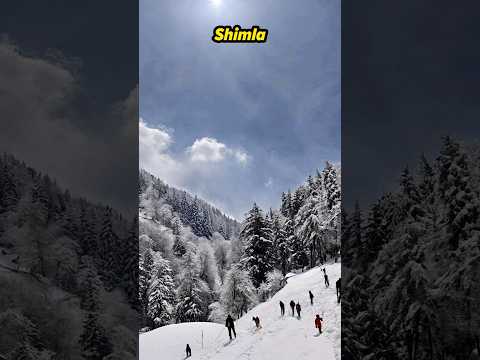 7 Must-Have Clothes For Your Shimla Trip In Winter ❄️ 😎 #shimlatrip #snowfall #winterclothes #shorts