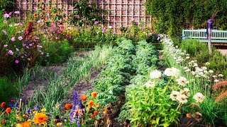 Planning a Vegetable Garden for Beginners: The 5 Golden Rules 🏆