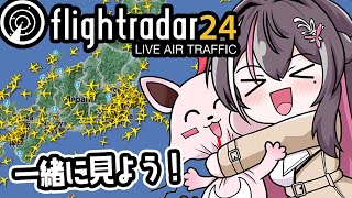 【Flightradar24】フライトレーダー24を眺めるだけ【ホロライブ / AZKi】