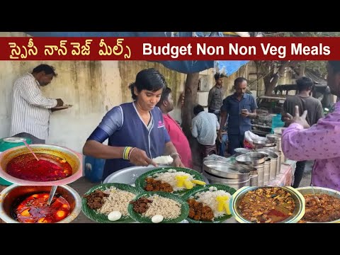 Cheapest Roadside Unlimited Non Veg Meals On Road | Hard Working Family Selling Spicy Street Meals