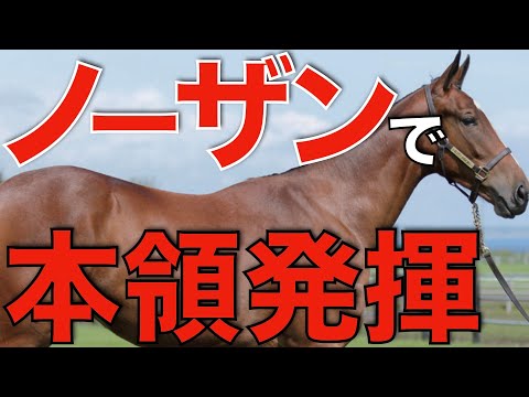 種牡馬としてのポテンシャルはある！ノーザンF生産で結果を出している馬とは。