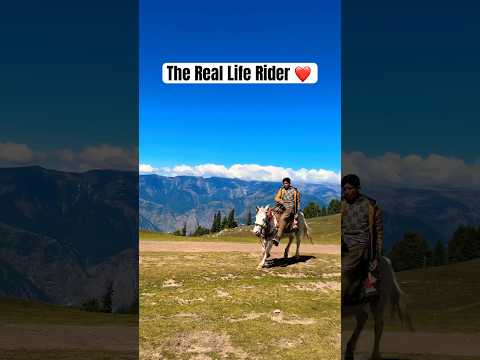 Horse Riding in mountains | Plan your customised trips with us  #shorts #travel #horseriding #viral