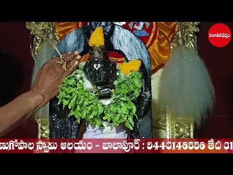 Celebrating the day of Diwali 2024 || To Lord Sri Krishna || Panchamrita Abhishekam