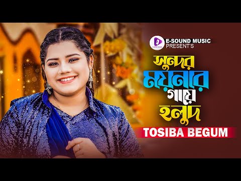 Shundor Moynar Gaye Holud | সুন্দর ময়নার গায়ে হলুদ | Tosiba | Sylheti New Wedding Song | Biyar Gaan