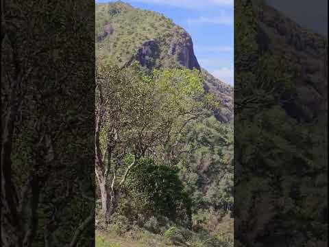 beautiful views from Kesavanpara view point, Nelliyampathy