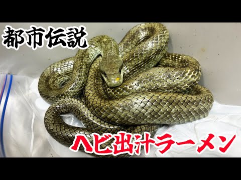 都市伝説！ヘビ出汁ラーメン検証してみた