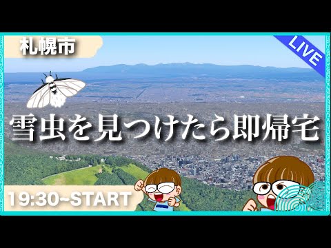 【生配信】雪虫がもう飛んでるって？いやいや嘘言っちゃいけないよ。俺が確かめるわ！というか夜飛んでる？　 #北海道 #生配信 #LIVE